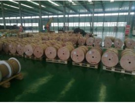 雙玻璃絲包線有哪些特征？